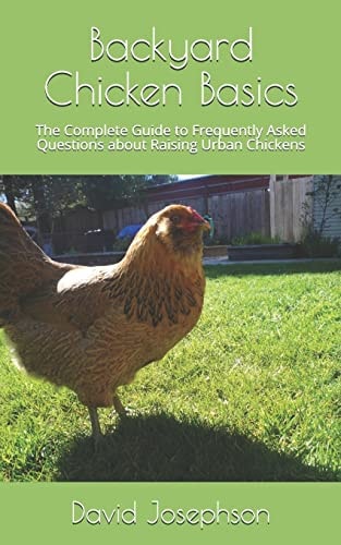 Backyard Chicken Basics The Complete Guide to Frequently Asked Questions about Raising Urban Chickens