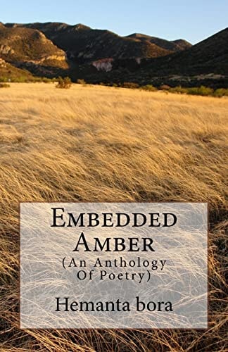 Embedded Amber Soul- in Search of the Solace