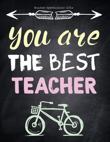 Teacher Appreciation Gifts - You Are The Best Teacher Special Teacher Gift For Thank You - End Of Year - Birthday - Appreciation - Retirement