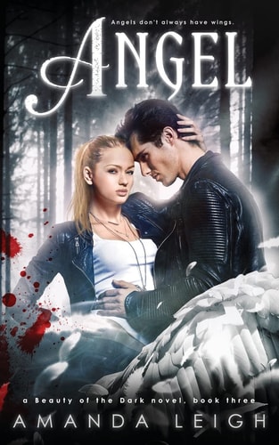 Angel A Beauty of the Dark Novel, Book Three
