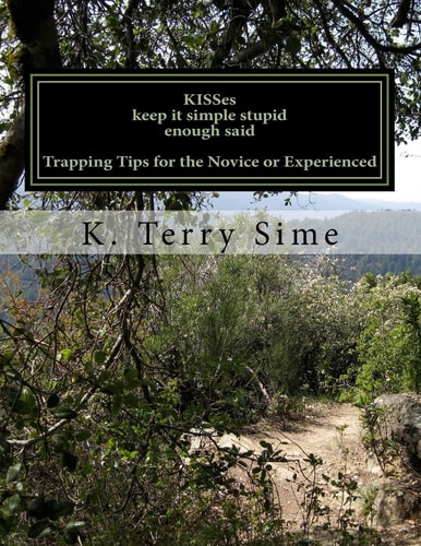 KISSes Keep It Simple Stupid Enough Said