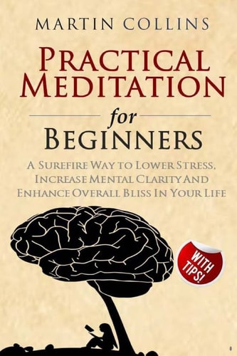Practical Meditation for Beginners A Surefire Way to Lower Stress, Increase Mental Clarity And Enhance Overall Bliss In Your Life
