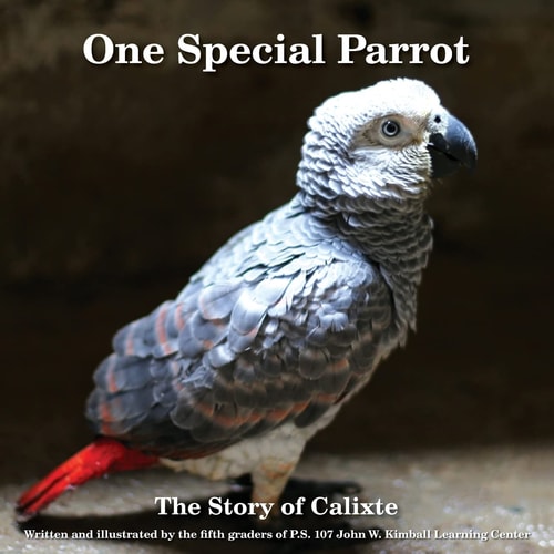 One Special Parrot The Story of Calixte