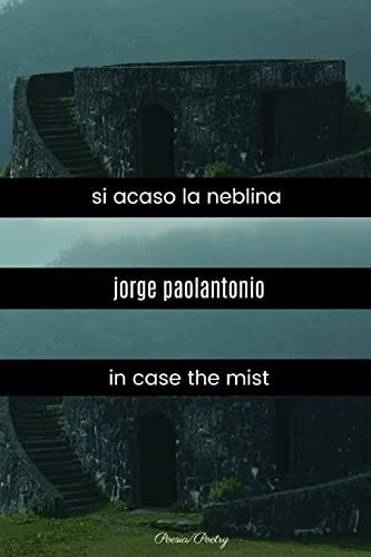 Si Acaso la Neblina In Case the Mist