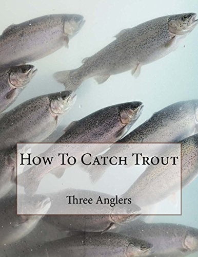 How To Catch Trout