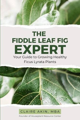 The Fiddle Leaf Fig Expert Your Guide to Growing Healthy Ficus Lyrata Plants