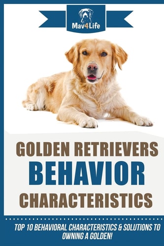 Golden Retrievers Behavior Characteristics Top 10 Behavioral Characteristics and Solutions to Owning a Golden!