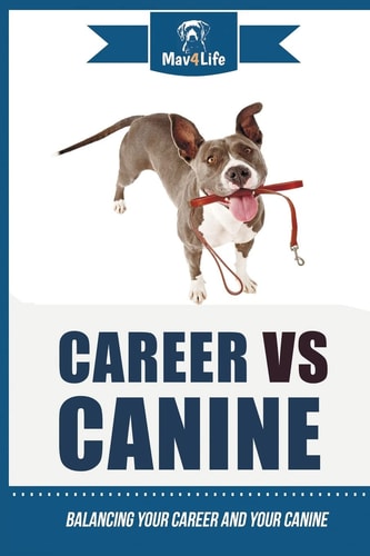 Career Vs Canine Balancing Your Career and Your Canine