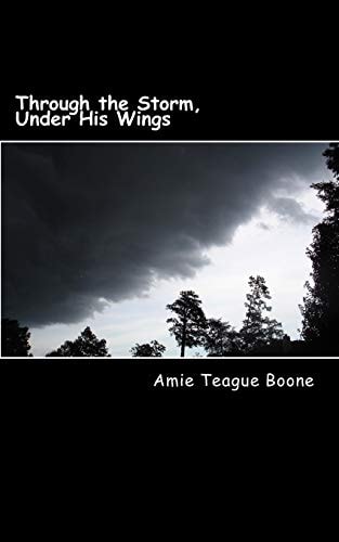 Through the Storm, Under His Wings Our Journey Through Leukemia