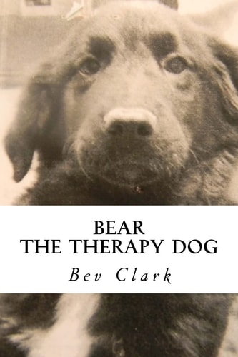 Bear The Therapy Dog