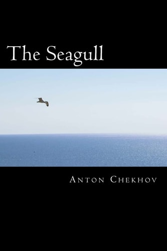 The Seagull