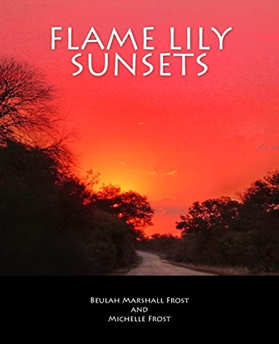 Flame Lily Sunsets A Rhodesian Railway Journey from Bannockburn to Malvernia in The 1950's