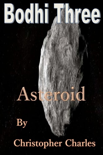Bodhi Three Asteroid