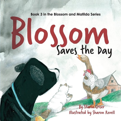 Blossom Saves the Day Book 3 in the Blossom and Matilda Series