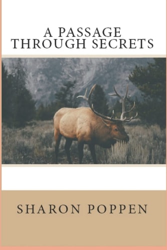 A Passage Through Secrets