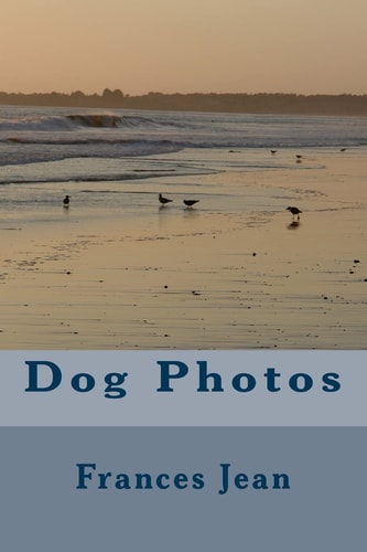 Dog Photos
