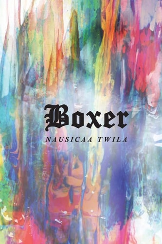 Boxer The Fight Within