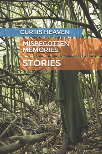 Misbegotten Memories Stories
