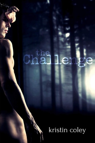 The Challenge