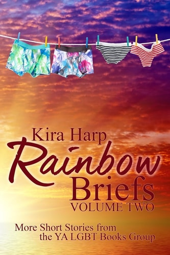 Rainbow Briefs Volume 2