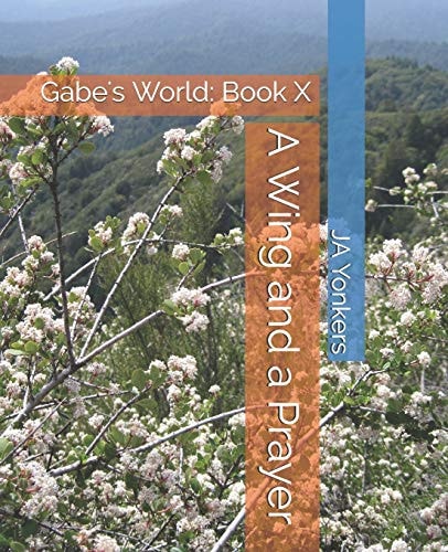 A Wing and a Prayer Gabe's World: Book X