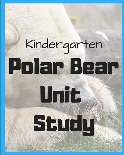 Kindergarten Polar Bear Unit Study By Sarah Bean