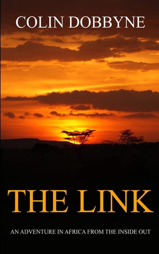 The Link An Adventure in Africa from the Inside Out