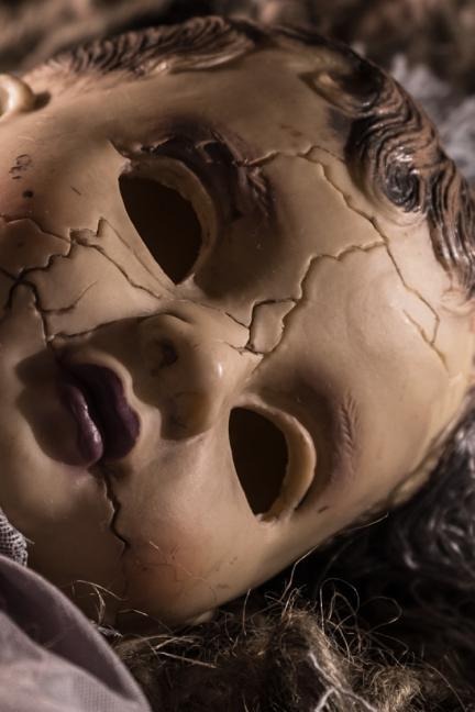 The Ordinary Doll