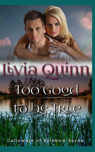 Too Good to Be True A Small Town Romance