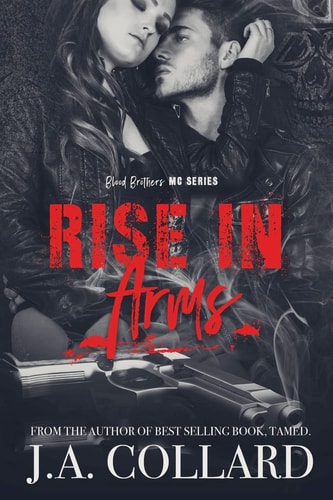 Rise in Arms Book #4 in the Blood Brothers MC Series