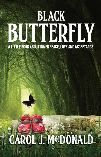 Black Butterfly A Story About Wonder and Wondering