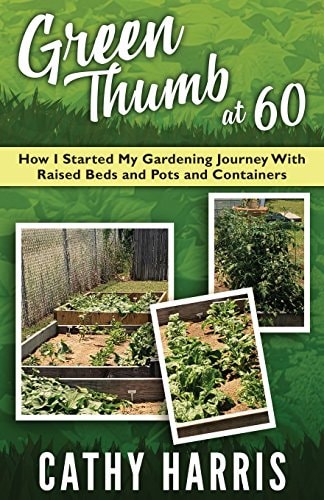 Green Thumb At 60 How I Started My Gardening Journey With Raised Beds and Pots and Contrainers