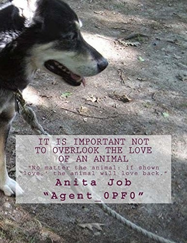 It Is Important Not to Overlook the Love of an Animal No Matter the Animal: If Shown 'love,' the Animal Will Love Back