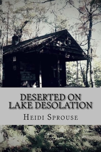 Deserted on Lake Desolation Book Four in the Lost in the Adirondacks Series