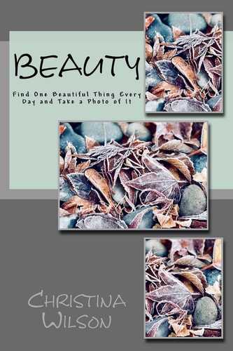 Beauty Find One Beautiful Thing Every Day and Take a Photo of It
