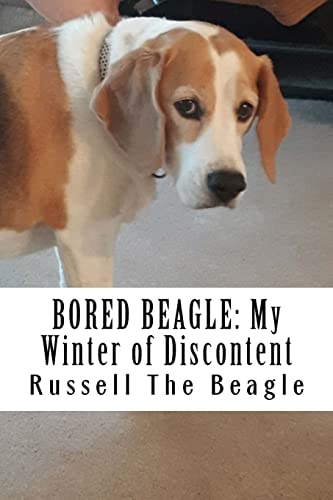 Bored Beagle My Winter of Discontent
