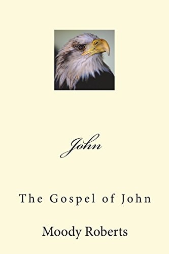 John The Gospel of John