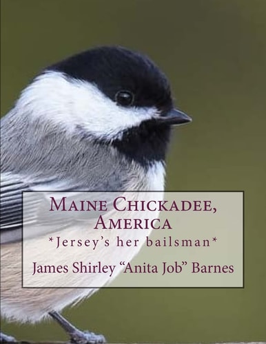 Maine Chickadee, America *Jersey's Her Bailsman*