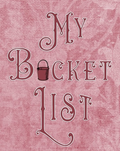 My Bucket List Adventures - Dreams - Wishes- 136 Pages- 8x10 - Dust