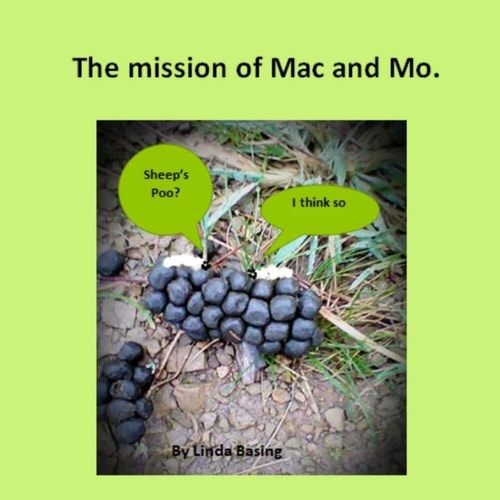The Mission of Mac and Mo