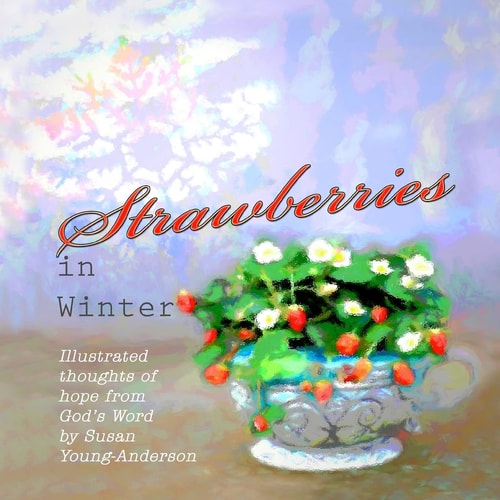 Strawberries in Winter Illustrated Thoughts of Hope from God's Word by Susan Young-Anderson