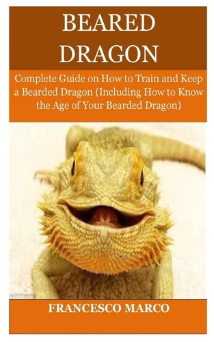 Bearded Dragon Complete Guide on How to Train and Keep a Bearded Dragon (Including How to Know the Age of Your Bearded Dragon)