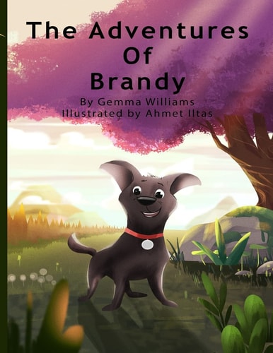The Adventures of Brandy