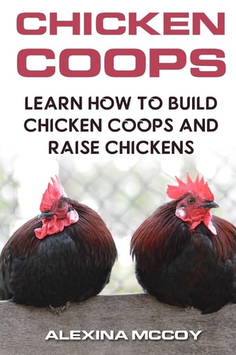Chicken Coops Learn How To Build Chicken Coops and Raise Chickens