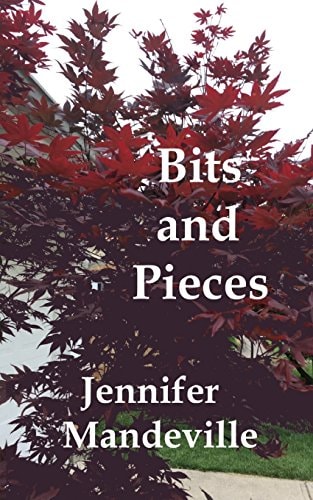 Bits and Pieces A Young Girl's Musings