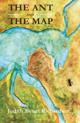 The Ant and the Map