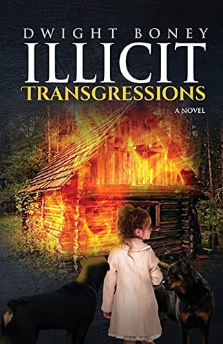 Illicit Transgressions A Novel