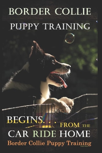 Border Collie Puppy Training Begins. . . From the Car Ride Home Border Collie Puppy Training