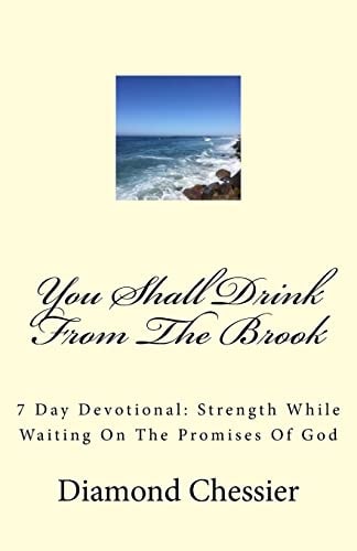 You Shall Drink From The Brook 7 Day Devotional: Strength While Waiting On The Promises Of God