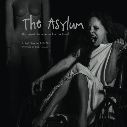 The Asylum What Happens When No One Can Hear You Scream?